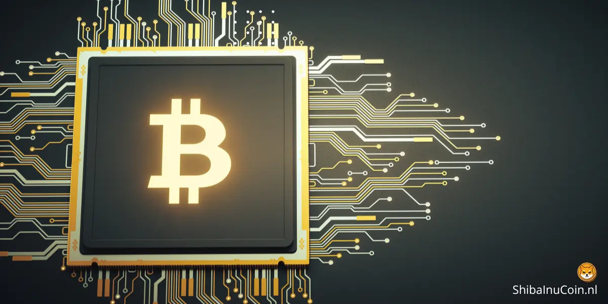 Wat is de toekomst van crypto?