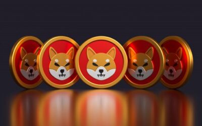 Enorm veel Shiba Inu Coi bezitters staan fors in de min