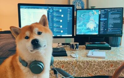 Achter de schermen gebeurd er van alles met de Shiba Inu Coin